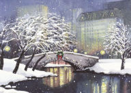 Title: Snowfall in the Park Deluxe Boxed Holiday Cards