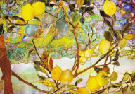 Title: Tiffany Lemon Tree Note Cards, Author: Peter Pauper Press Inc.