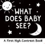 What Does Baby See?: A First High-Contrast Board Book