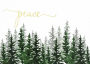 Holiday Stationery Winter Evergreens Boxed Cards