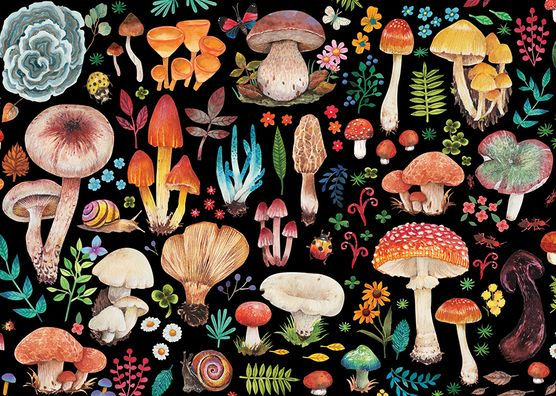 Mushrooms 1000-Piece Jigsaw Puzzle