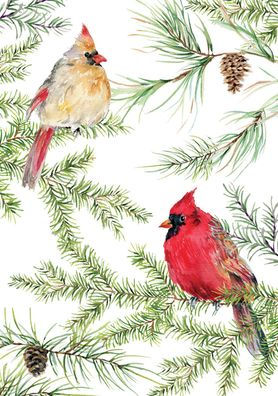 Cardinals in Evergreen Small Boxed Holiday Cards