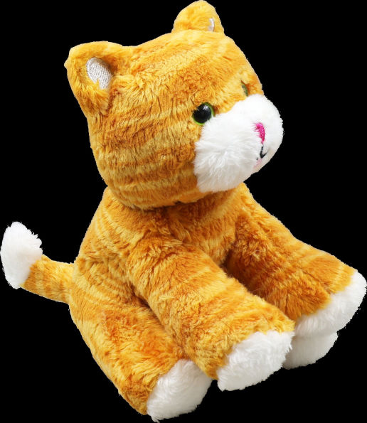 Hug a Kitten Kit (Book with Plush)