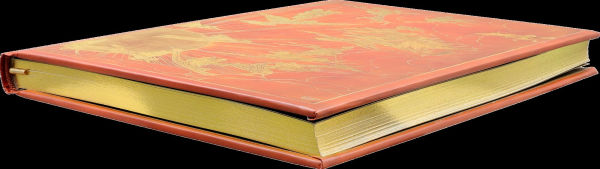 Orange Fairy Journal (Diary, Notebook)