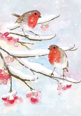 English Robins in Snow Small Boxed Holiday Cards (20 Cards, 21 Self-Sealing Envelopes)