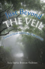 Just Beyond the Veil