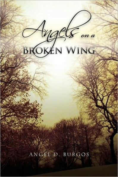 Angels on a Broken Wing