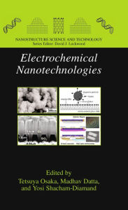 Title: Electrochemical Nanotechnologies, Author: Tetsuya Osaka