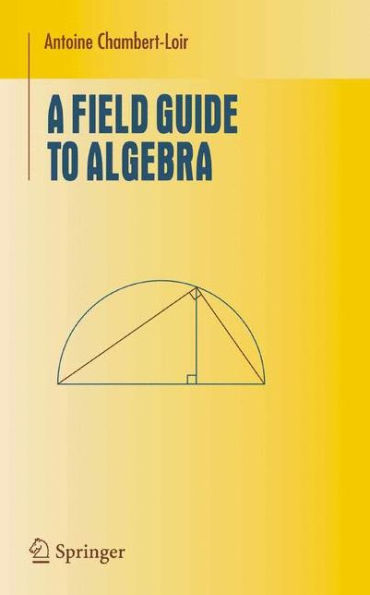 A Field Guide to Algebra / Edition 1