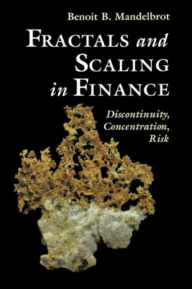 Fractals and Scaling in Finance: Discontinuity, Concentration, Risk. Selecta Volume E / Edition 1