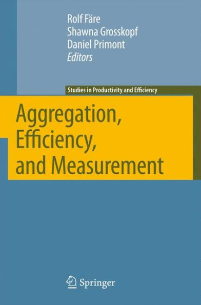 Aggregation, Efficiency, and Measurement / Edition 1