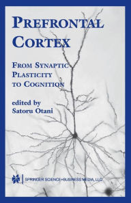 Title: Prefrontal Cortex: From Synaptic Plasticity to Cognition / Edition 1, Author: Satoru Otani