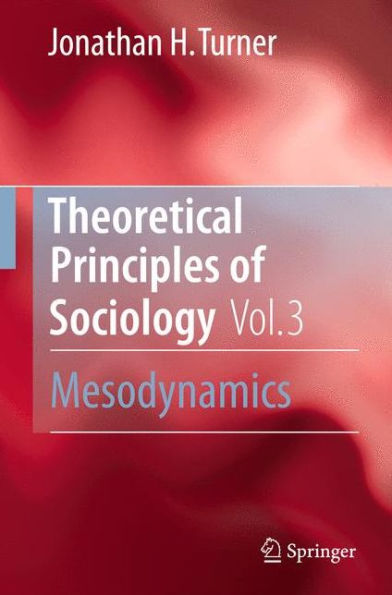 Theoretical Principles of Sociology, Volume 3: Mesodynamics / Edition 1