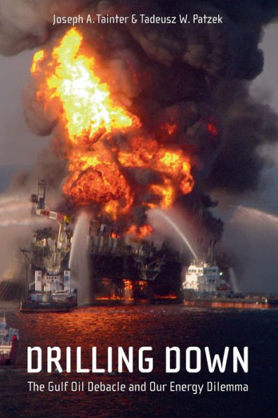 Drilling Down: The Gulf Oil Debacle and Our Energy Dilemma / Edition 1