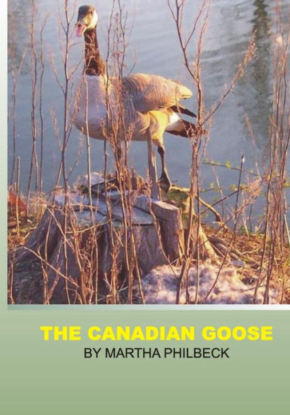 The Canadian Goose: The Canadian goose and how to raise the young