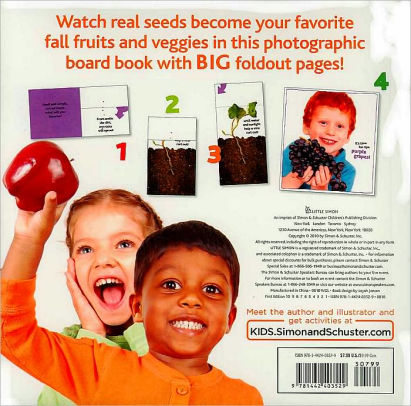 It S Harvest Time A Book With Foldout Pages By Jean Mcelroy Board Book Barnes Amp Noble 174