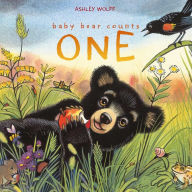 Title: Baby Bear Counts One (With audio recording), Author: Ashley Wolff