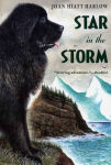 Alternative view 2 of Star in the Storm