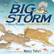 Title: The Big Storm: A Very Soggy Counting Book, Author: Nancy Tafuri