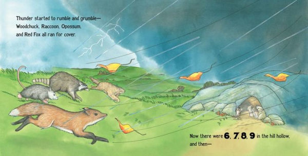 The Big Storm: A Very Soggy Counting Book