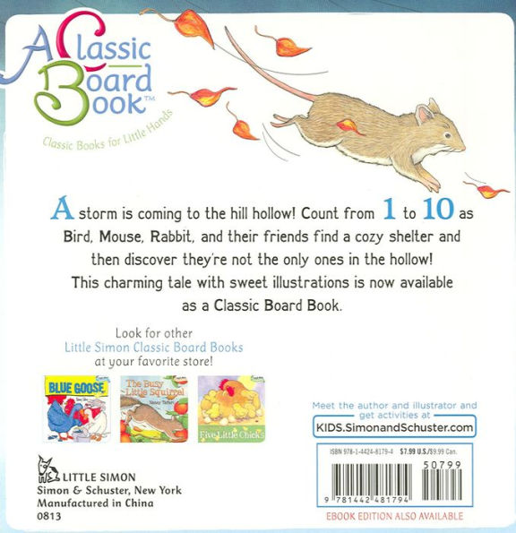 The Big Storm: A Very Soggy Counting Book