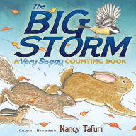 Title: The Big Storm: A Very Soggy Counting Book (with audio recording), Author: Nancy Tafuri