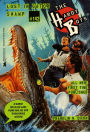 Lost in Gator Swamp (Hardy Boys Series #142)