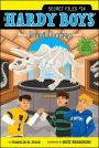 Fossil Frenzy (Hardy Boys: Secret Files Series #14)