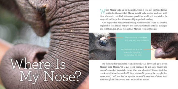 Moses: The True Story of an Elephant Baby