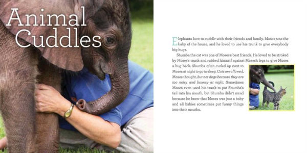 Moses: The True Story of an Elephant Baby