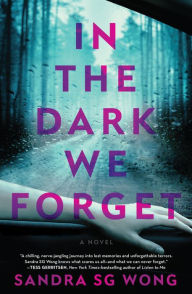 Free download audiobooks for ipod touch In the Dark We Forget: A Novel ePub PDF PDB