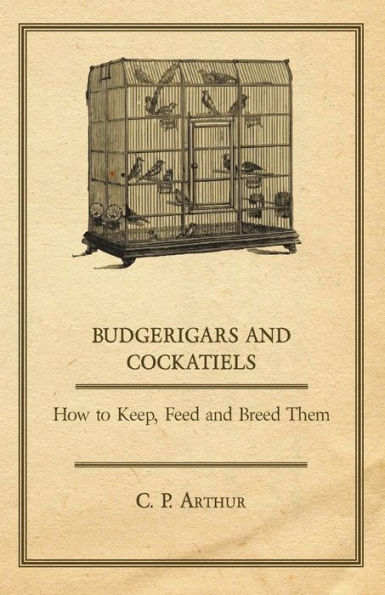 Budgerigars and Cockatiels - How to Keep, Feed Breed Them