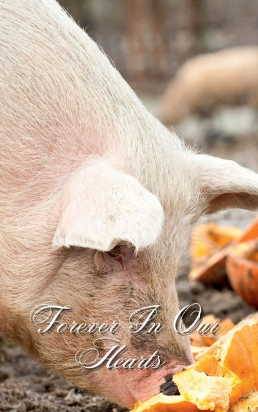 Forever In Our Hearts Hungry Pumpkin Pig: Memorial Funeral Book of Remembrance, Condolence, Guest Messages