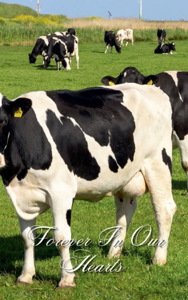 Forever In Our Hearts Dairy Cow: Memorial Funeral Book of Remembrance, Condolence, Guest Messages