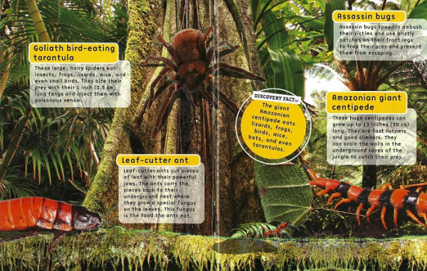 Busy Bugs: Discovery Kids 3D-Sticker Fun!