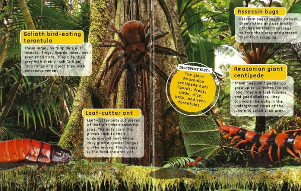 Busy Bugs: Discovery Kids 3D-Sticker Fun!