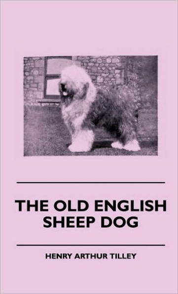 The Old English Sheep Dog