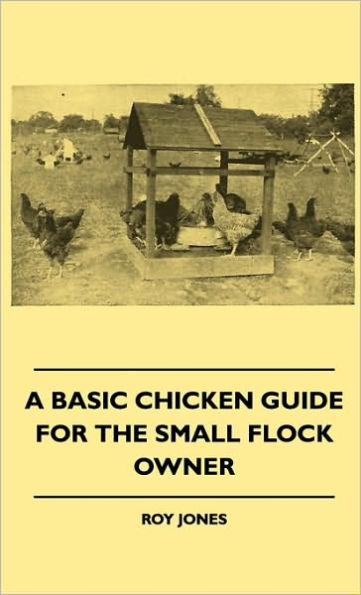 A Basic Chicken Guide For The Small Flock Owner