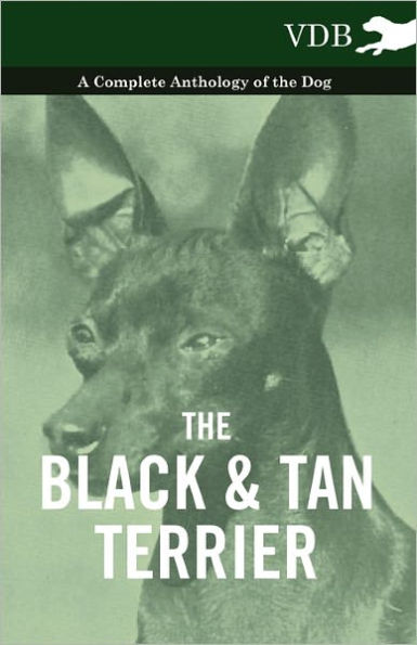 the Black and Tan Terrier - A Complete Anthology of Dog