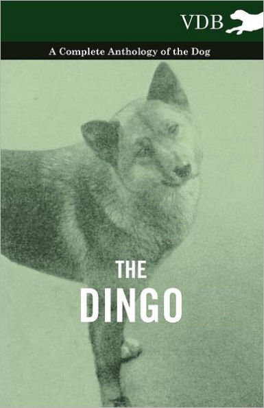 the Dingo - A Complete Anthology of Dog
