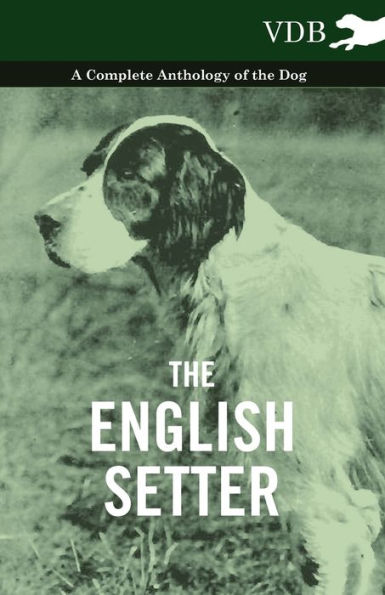 the English Setter - A Complete Anthology of Dog