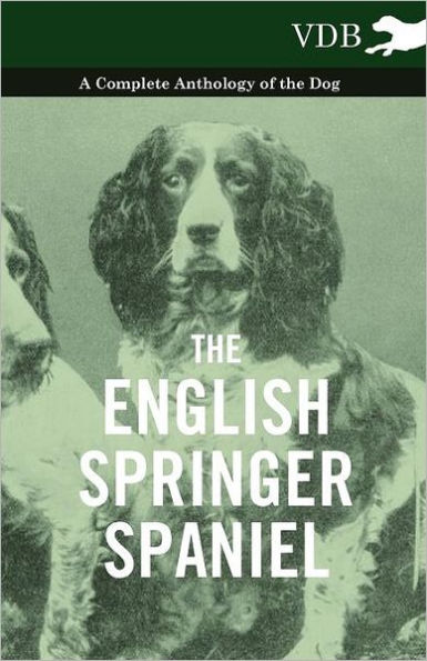 the English Springer Spaniel - A Complete Anthology of Dog