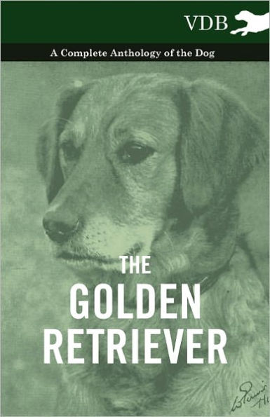 the Golden Retriever - A Complete Anthology of Dog