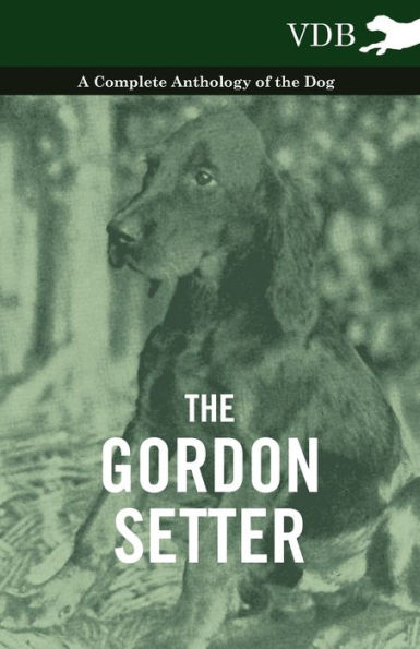 the Gordon Setter - A Complete Anthology of Dog
