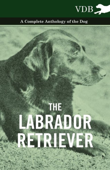 the Labrador Retriever - A Complete Anthology of Dog