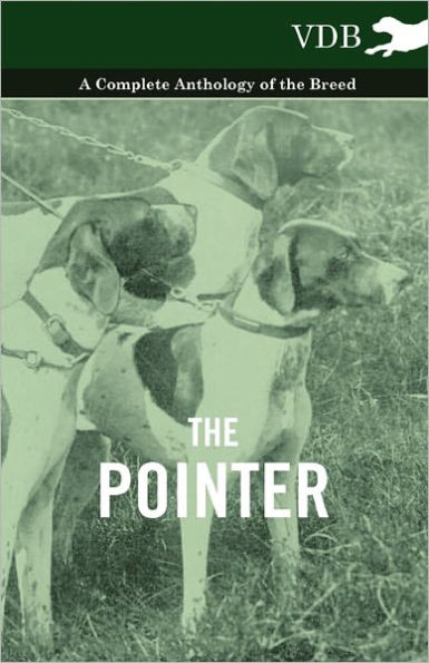 the Pointer - A Complete Anthology of Breed