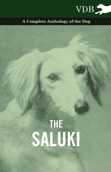 the Saluki - A Complete Anthology of Dog