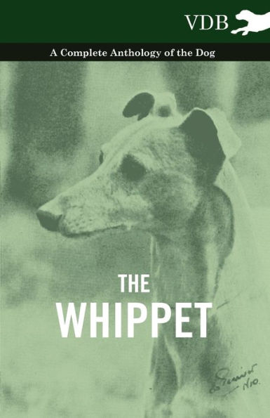 the Whippet - A Complete Anthology of Dog