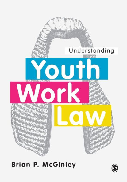 Understanding Youth Work Law / Edition 1