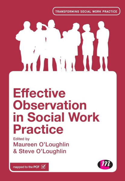 Effective Observation in Social Work Practice / Edition 1